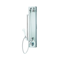 Bradley® S23-1061 WS-1X-HN Barrier-Free Individual Pivoting Wall Shower, 2.5 gpm, Domestic