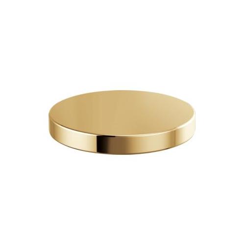 Brizo® RP90934PG