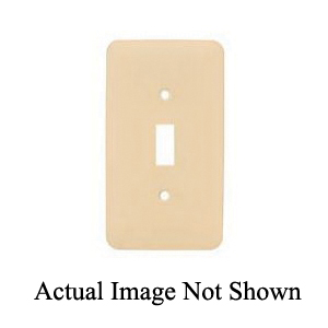 Blank Wallplates