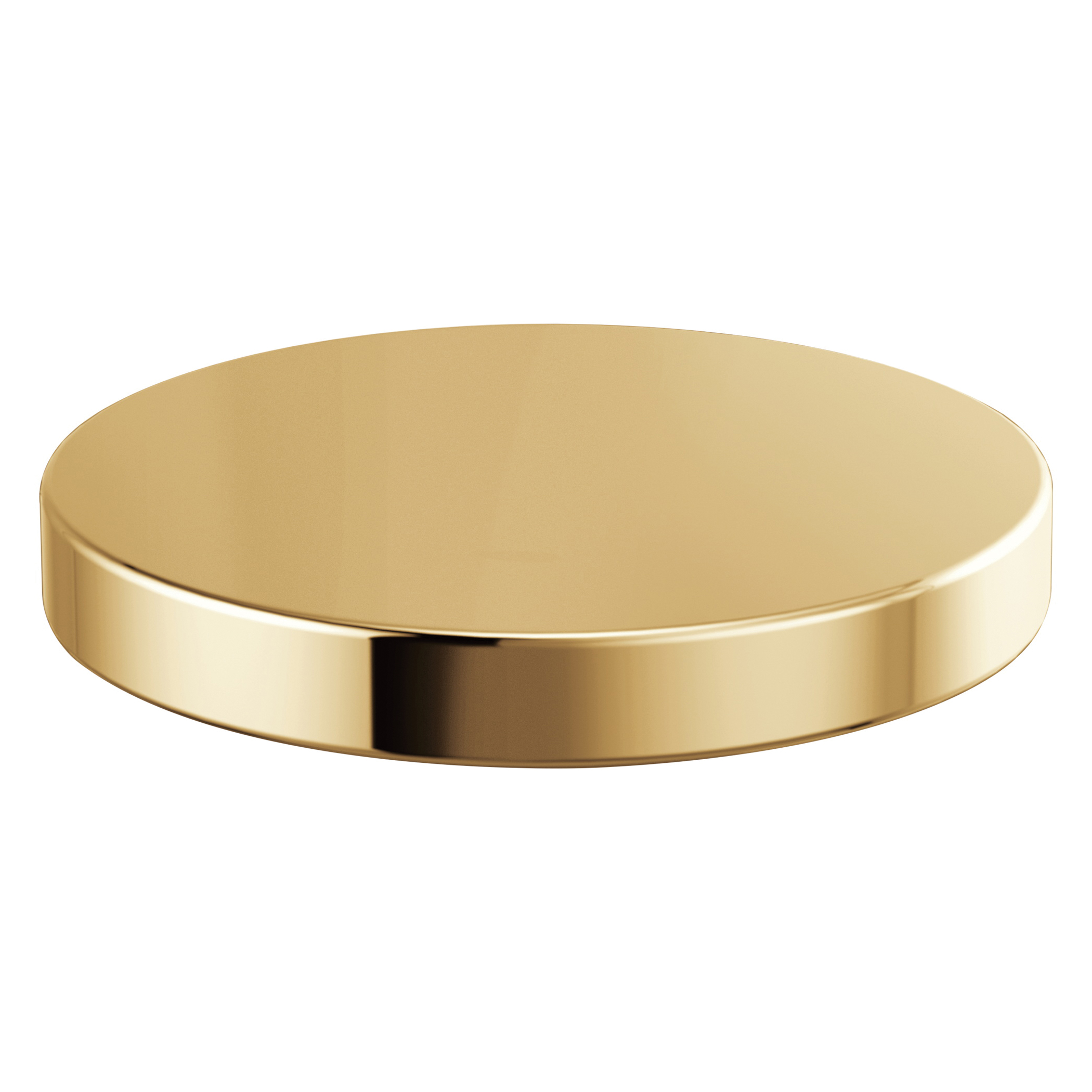 Brizo® RP90934PG Rook® Hole Cover, 2-1/4 in Dia x 3 in THK, Polished Gold, Import