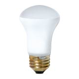 Incandescent Lamps